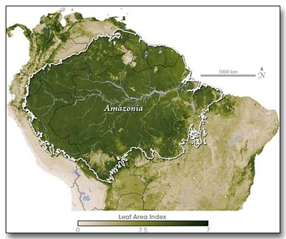 Amazon Rainforest - EXPLORE LEARN